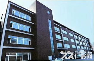 汽車產業鏈驅動 優質工業廠房與汽車租賃“雙軌”賦能發展策略